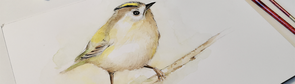 Aquarelove
