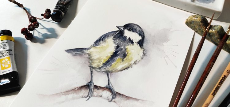 Sikora bogatka (Parus major) Sikora bogatka (Parus major)